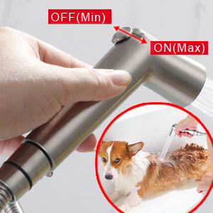 Accessorio doccia per cani SUMERAIN, spruzzatore per animali domestici per cani e gatti, deviatore braccio doccia in ottone massiccio e spruzzatore a flusso regolabile, tubo extra lungo da 8 piedi, finitura nichel spazzolato